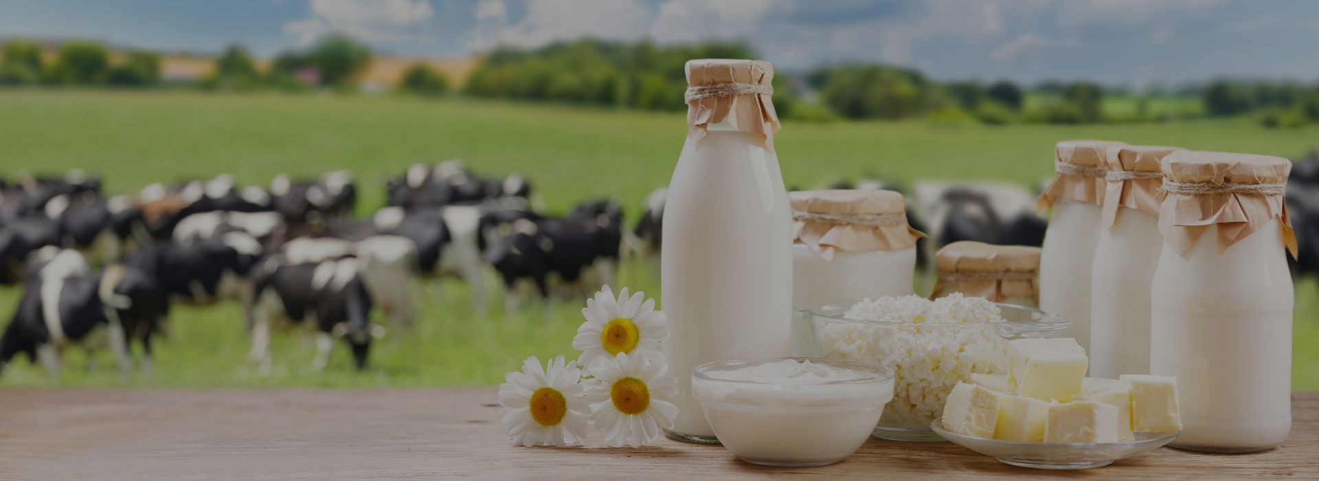شركة تصنيع مبردات حليب الألبان - احمِ كل لتر من جودة حليبك الخام